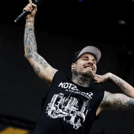 Die besten Fotos vom Nova Rock 2024