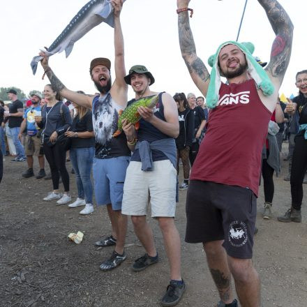 Die besten Fotos vom Nova Rock 2024