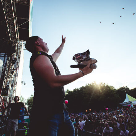 Donauinselfest 2019 - Tag 1 (Part V)