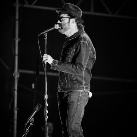 Eels @ Arena Wien