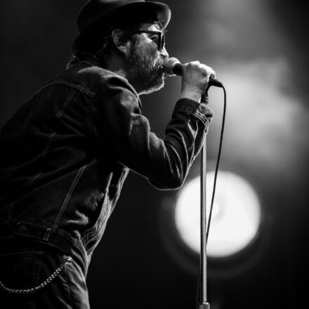 Eels @ Arena Wien