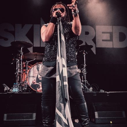 Skindred