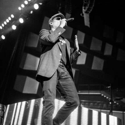 Xavier Naidoo