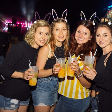 Donauinselfest 2019 - Tag 2 (Part III)