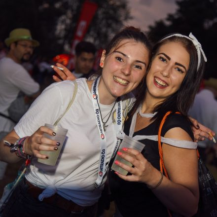 Donauinselfest 2019 - Tag 3 (Part I)