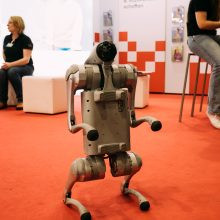 BeSt Wien 2025