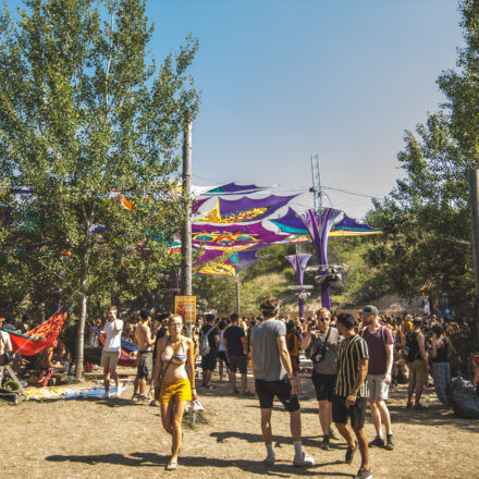 Flow Festival