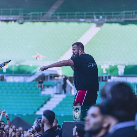 Die Toten Hosen @ Ernst Happel Stadion Wien