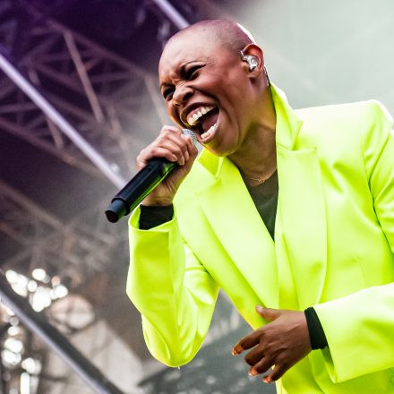 Skunk Anansie