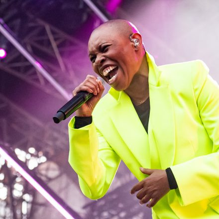 Skunk Anansie