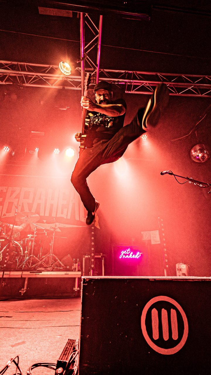 Zebrahead