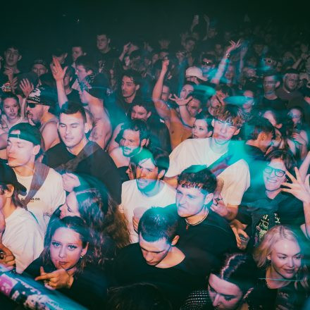 The Hive