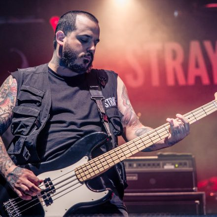 BEARTOOTH, MOTIONLESS IN WHITE