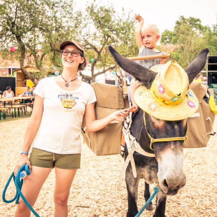 Picture On Festival 2018 Day 1 @ Festivalgelände Bildein