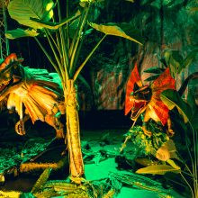 Königreich der Dinosaurier