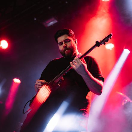 Animals as Leaders