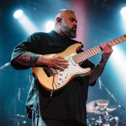 Animals as Leaders