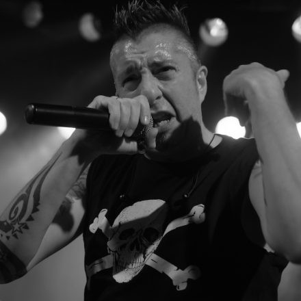 The Locos @ Szene Wien