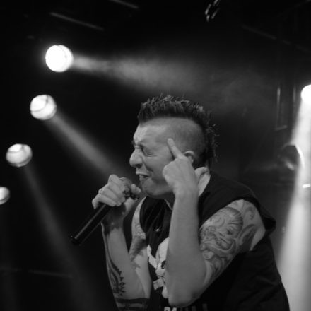 The Locos @ Szene Wien