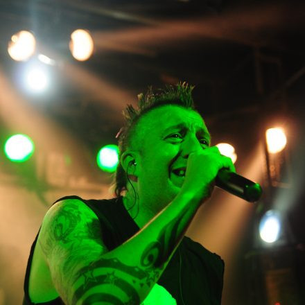 The Locos @ Szene Wien