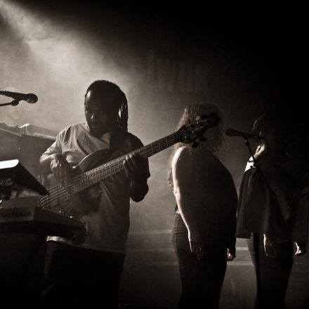 Samy Deluxe & Tsunami Band @ WUK