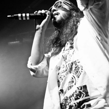 Samy Deluxe & Tsunami Band @ WUK