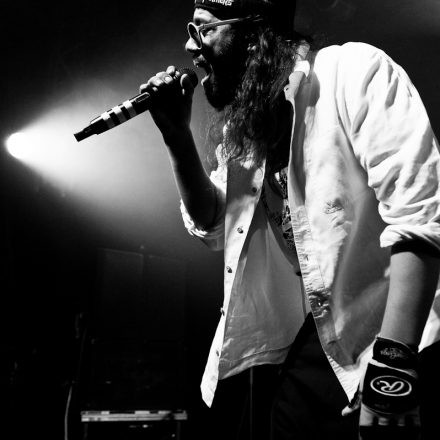 Samy Deluxe & Tsunami Band @ WUK