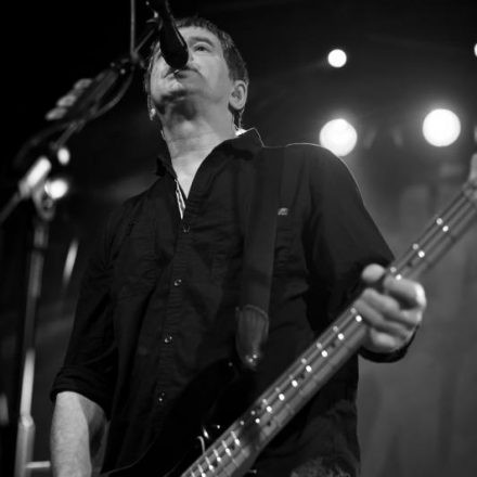 The Stranglers @ Szene Wien