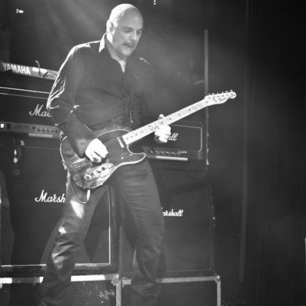 The Stranglers @ Szene Wien