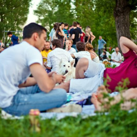 Tanz durch den Tag @ Donaugelände Nussdorf - (Pics by Martin Dudek)