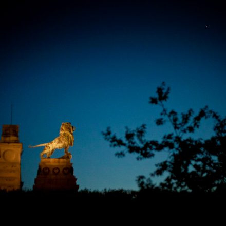 Tanz durch den Tag @ Donaugelände Nussdorf - (Pics by Martin Dudek)