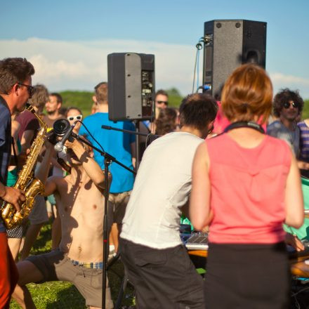 Tanz durch den Tag @ Donaugelände Nussdorf - (Pics by Martin Dudek)