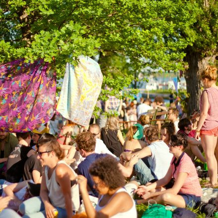 Tanz durch den Tag @ Donaugelände Nussdorf - (Pics by Martin Dudek)