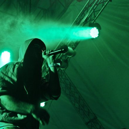Donauinselfest 2012 (FM4)