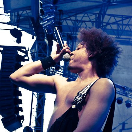 Donauinselfest 2012 (FM4)