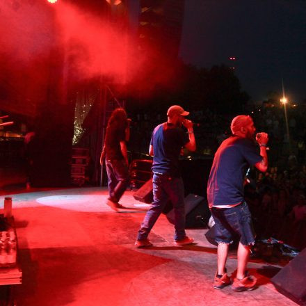 Donauinselfest 2012 (FM4)
