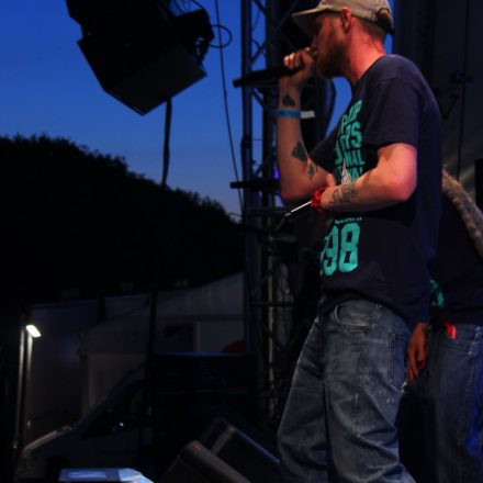 Donauinselfest 2012 (FM4)