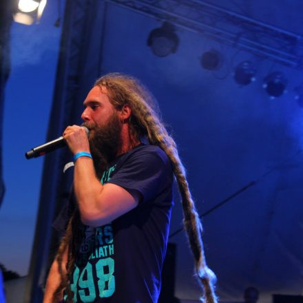 Donauinselfest 2012 (FM4)