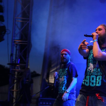 Donauinselfest 2012 (FM4)