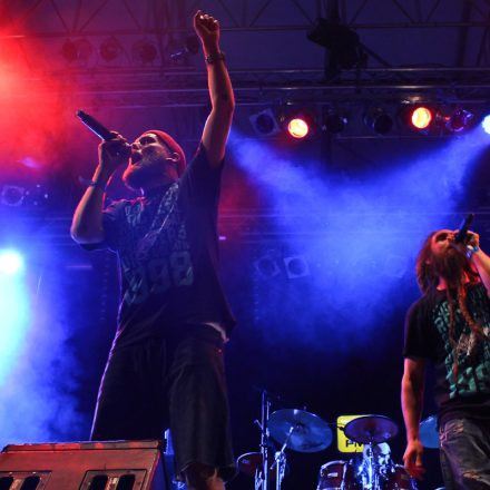 Donauinselfest 2012 (FM4)