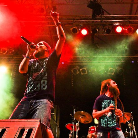 Donauinselfest 2012 (FM4)