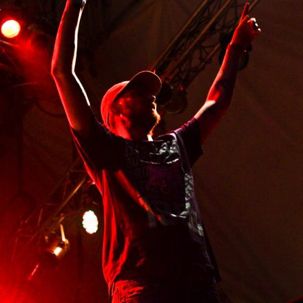 Donauinselfest 2012 (FM4)