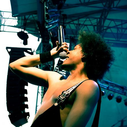 Donauinselfest 2012 (FM4)