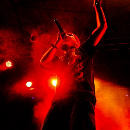 Donauinselfest 2012 (FM4)