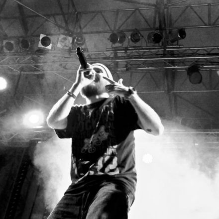 Donauinselfest 2012 (FM4)
