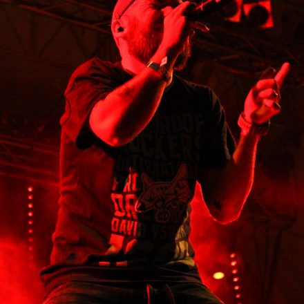 Donauinselfest 2012 (FM4)
