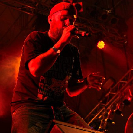 Donauinselfest 2012 (FM4)