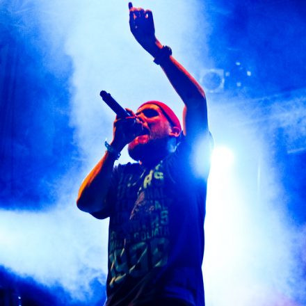 Donauinselfest 2012 (FM4)