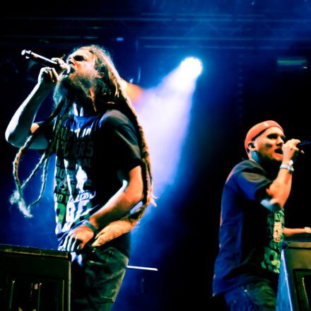 Donauinselfest 2012 (FM4)