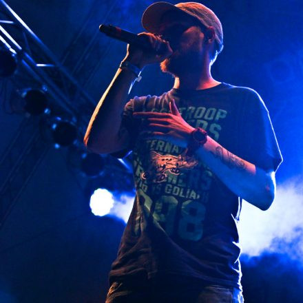 Donauinselfest 2012 (FM4)